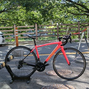 자체브랜드 스페셜라이즈드 아미라 SL4 스포츠 로드자전거 [51사이즈], 중고상품